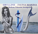 Sibylline – Medicina, Educación, Investigación / Cetáceos y fauna marina